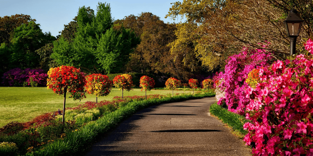 Flower Shows and Garden Tours in Bucks County and Philadelphia